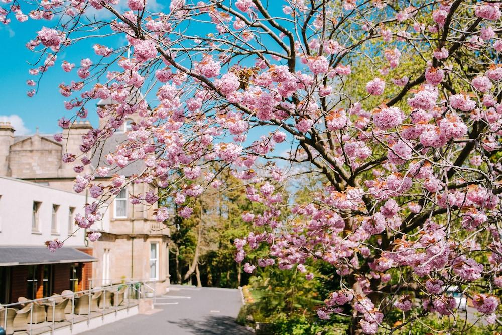 Lynnhurst Hotel จอห์นสโตน ภายนอก รูปภาพ